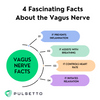 Top Ten Facts  and Benefits of the Vagus Nerve